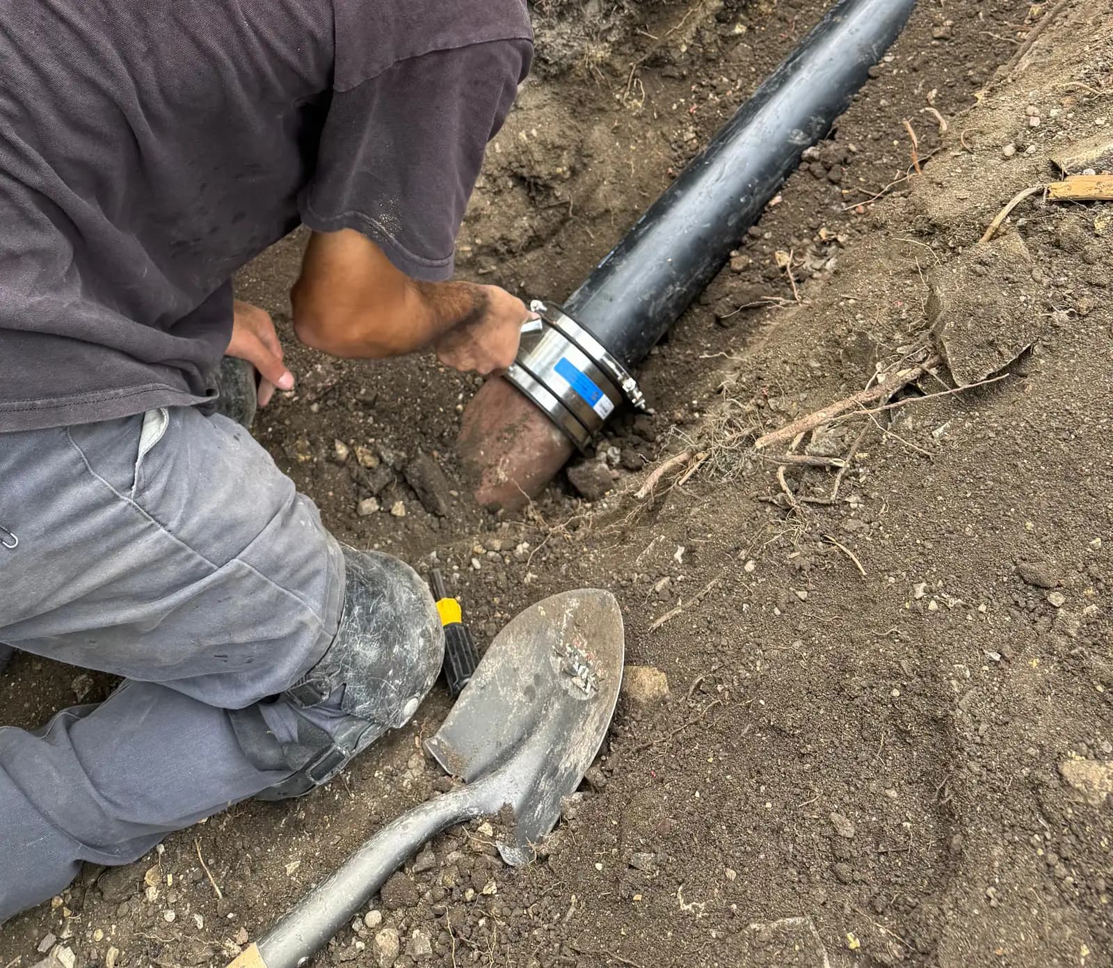 Plumber joining a new black sewer pipe to the original vitrified clay line with a shielded stainless steel coupling, with tree roots running through the soil along the trench
